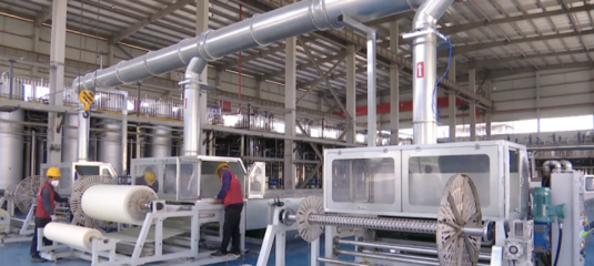 奮進|泰興:驅動經濟向&ldquo;綠&rdquo;而行 打造綠色環保產業集群